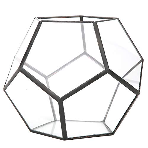 Geometrisches Pflanzen-Terrarium, Sukkulenten und Luft-Pflanzgefäß aus Glas, für Zuhause, Garten, Büro, Innenbereich, Tischdekoration von Tixiyu