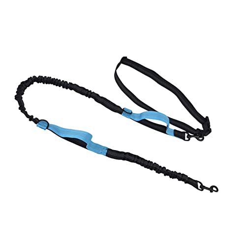 Tixiyu Haustierleine, Reflektierend, Einziehbar, Tragbar, Verstellbar, Hundezugseil für Haustiere, Hunde (Blau) von Tixiyu