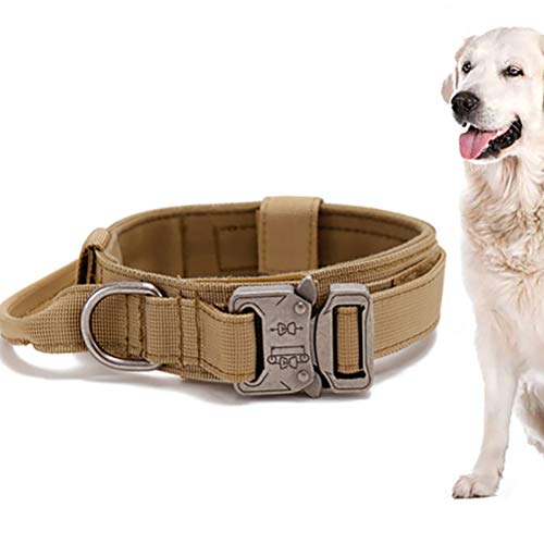 Tixiyu Hundehalsband für den Außenbereich, verstellbar, Trainingshalsband, strapazierfähiges Nylon, Schnellverschluss, 37-45 cm von Tixiyu