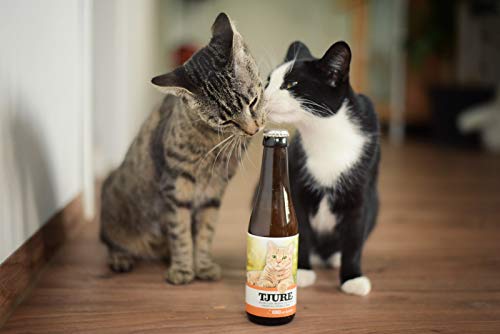 TJURE Cat Katzendrink Fisch 6 x 220ml Spar-Pack- Katzensuppe - Flüssignahrung für Katzen - Optimale Flüssigkeitszufuhr für trinkfaule Stubentiger - Tierisch Gutes Futter-Topping von Tjure