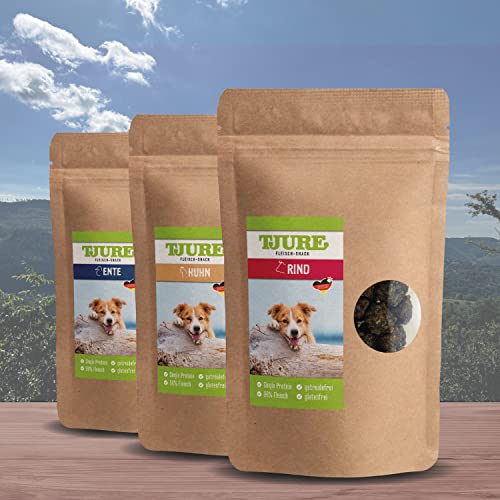 TJURE Hund - Snack Box Standard (3 x 150 g) | Hundesnacks | Proteinquelle | über 95% Fleischanteil | Luftgetrocknet von Tjure