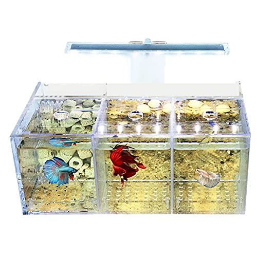 Tlily Aquarium LED Acryl Fish Tank Set Mini Desktop Light Water Pump Filters-Triple von Tlily