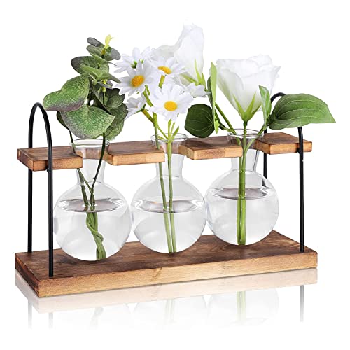 Tlilyy Pflanzen-Anzuchtstation mit Holzständer, Pflanzen-Terrarium, Schreibtisch-Anzuchtstationen, Luft-Pflanzgefäß, Glasvase von Tlilyy