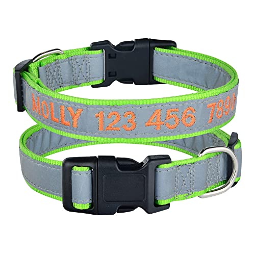 Reflektierende Hundehalsbänder Leuchtendes Hundehalsband Personalisierter Name des Benutzerdefinierten Halsbandes Telefonnummer Nylon-Hundehalskette Kleiner großer Welpe-Green_XS_ (8-12 Zoll) von Tlwrnop