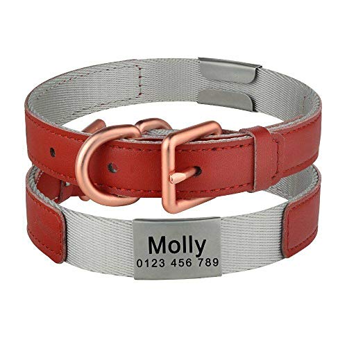 Tlwrnop Verstellbares personalisiertes Nylon-Hundehalsband Graviertes Namensschild Hunde-ID-Halsband SML-Hundehalsband mit Lederschicht Padded-Red_XS_17-23cm von Tlwrnop