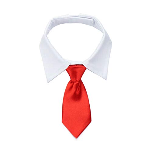Tmianya Haustierzubehör Verstellbare Krawatte Krawatten Weißer Kragen Krawatte Formal Bow Dog Pet Supplies Hundezubehör in Meiner Nähe (Red, L) von Tmianya