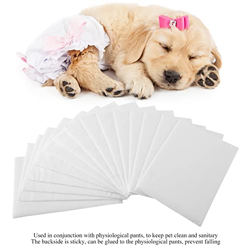 10 PCs Einweg -Welpen -Sanitär -Serviettenpapier, Einweghundliner für Weibliche Hunde Müssen Physiologische Hosen Tragen (L Größe 15 Teile/Box) von Tnfeeon
