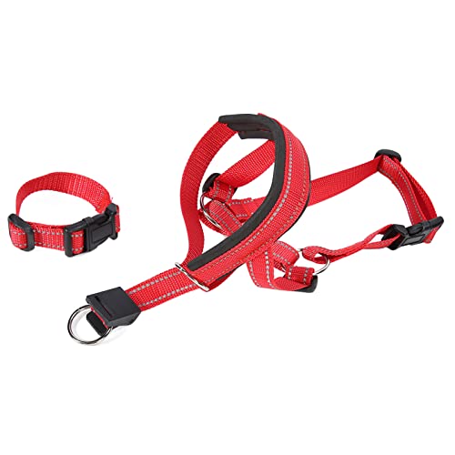 Hundehalsband Ultimative Lösung Zur Verhinderung von Beißen und Kauen (XL) von Tnfeeon
