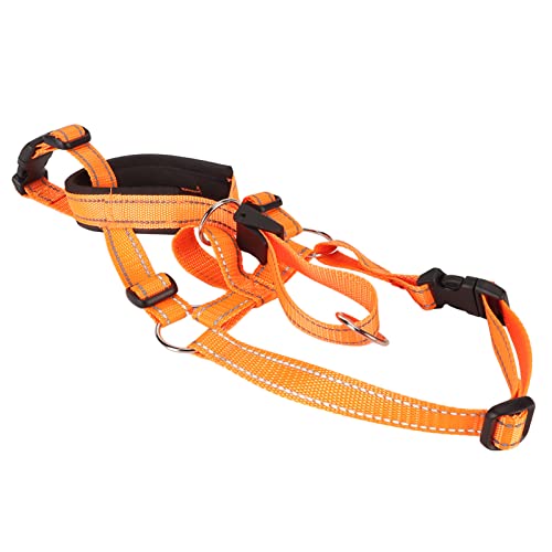 Komfortabler und Strapazierfähiger Maulkorb für Hundehalfter für Outdoor-Aktivitäten (22 x 16 cm / 8,7 x 6,3 Zoll) von Tnfeeon