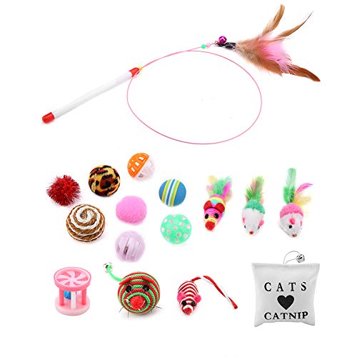 Tnfeeon 16-teiliges Katzenspielzeug, Tease Stick Mouse Balls Katzenminze Sisalfeder mit Aufbewahrungstasche für Cat Puppy Kitty von Tnfeeon