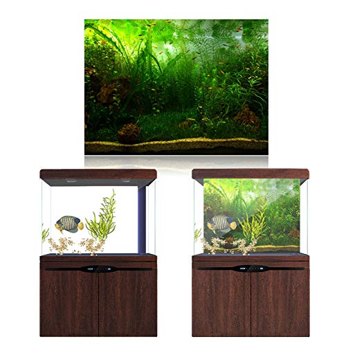 Tnfeeon Aquarium Hintergrund Dekoration Blaues Ozean Fische Tiefwasserpflanzen Meeresboden Szene Unterwasser -Szenen Hintergrund für Fotografie Kinder Erwachsene Geburtstagsfeier Events Tnfeeon Aquarium Hintergrund Dekoration Blaues Ozean Fische Tiefwasserpflanzen Meeresboden Szene Unterwasser -Szenen Hintergrund für Fotografie Kinder Erwachsene Geburtstagsfeier Events von Tnfeeon