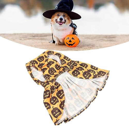 Tnfeeon Halloween-Hundekleid, Haustierkostüm, Hundekostüme, Modisch, Einzigartig, Kürbismuster, Rundhalsausschnitt, Bequem, Weich, Feiertags-Hundekleidung für Hundewelpen Tnfeeon Halloween-Hundekleid, Haustierkostüm, Hundekostüme, Modisch, Einzigartig, Kürbismuster, Rundhalsausschnitt, Bequem, Weich, Feiertags-Hundekleidung für Hundewelpen von Tnfeeon