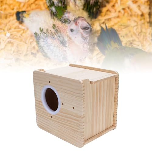 Tnfeeon Hölzerne Sittichschachtel, Leicht zu Beobachten Robuste und Exquisite Multifunktionale Verwendung Isolierter Papageien Bruthaus für Conure Cockatoo Blockier Tnfeeon Hölzerne Sittichschachtel, Leicht zu Beobachten Robuste und Exquisite Multifunktionale Verwendung Isolierter Papageien Bruthaus für Conure Cockatoo Blockier von Tnfeeon