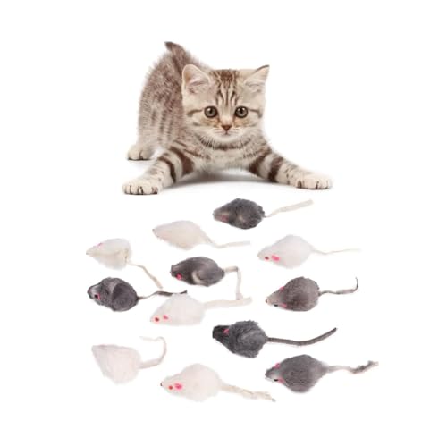 Tnfeeon Katze gefälschte Maus Spielzeug, 12Pcs Mini Pet Chew kleines Plüsch Maus Spielzeug Katze Kätzchen Teaser Spielzeug Set Haustiere Interaktiver Übungsgerät Tnfeeon Katze gefälschte Maus Spielzeug, 12Pcs Mini Pet Chew kleines Plüsch Maus Spielzeug Katze Kätzchen Teaser Spielzeug Set Haustiere Interaktiver Übungsgerät von Tnfeeon