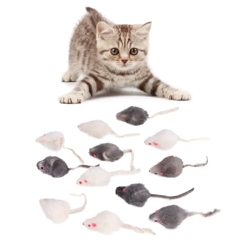 Tnfeeon Katze gefälschte Maus Spielzeug, 12Pcs Mini Pet Chew kleines Plüsch Maus Spielzeug Katze Kätzchen Teaser Spielzeug Set Haustiere Interaktiver Übungsgerät von Tnfeeon