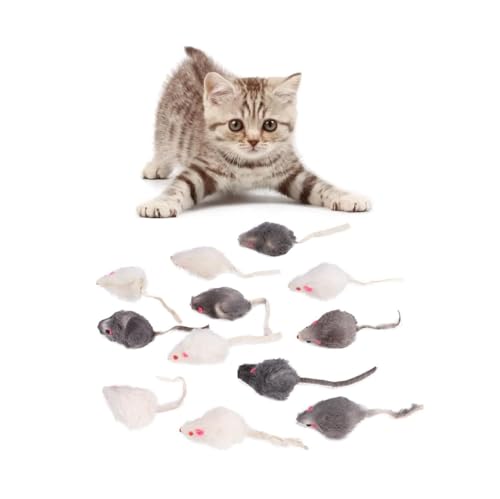 Tnfeeon Katze gefälschte Maus Spielzeug, 12Pcs Mini Pet Chew kleines Plüsch Maus Spielzeug Katze Kätzchen Teaser Spielzeug Set Haustiere Interaktiver Übungsgerät von Tnfeeon