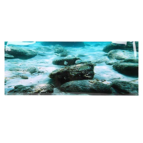 Tnfeeon Seabed Rock Aquarium Hintergrund, PVC Kleber doppelseitige Poster Aufkleber Aquarium Dekoration(91x50cm) von Tnfeeon