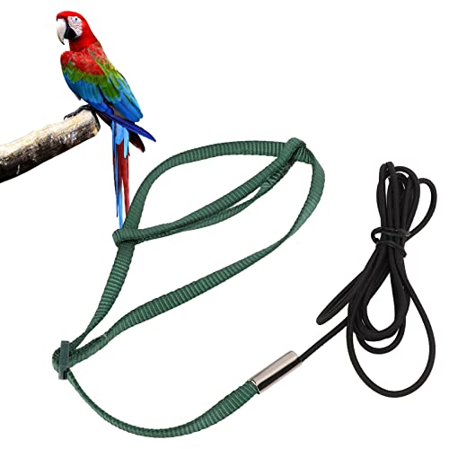 Tnfeeon Vogelgeschirr Leine Elastisches Seil Flugseil Einstellbares Elastisches Flugtraining Vögel Zugseil für Nymphensittich Lovebird Tnfeeon Vogelgeschirr Leine Elastisches Seil Flugseil Einstellbares Elastisches Flugtraining Vögel Zugseil für Nymphensittich Lovebird von Tnfeeon