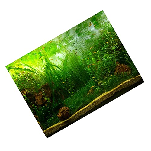 Tnfeeon Wassergrasstil Fischtankdekoration Poster PVC Klebstoff Hintergrund mit Selbstklebendem Design, Großartiges Dekor für Aquarium, 122 * 61 cm (8) von Tnfeeon
