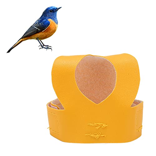 Vogelgeschirr Leine Outdoor Flugtraining Seil Kunstleder Vogelgeschirr Weste mit Seil und Griff für Vögel Papageien Sittiche Nymphensittiche Training (L) von Tnfeeon