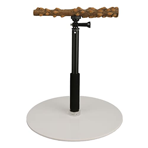 Vogelpapagei -Spiel Training Barsch Steh Abnehmbar Einstellbare Tischplatten Barschspielzeug für Papageien Cockatiel Sleakeet Indoor Outdoor Travel von Tnfeeon