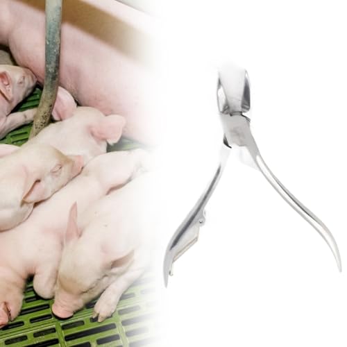 Zahnknipser, Edelstahl, Hunde-Ferkel, Zahnschneider, Schere für Ellenbogenknipser, Zange mit Fänger, hochwertiges Material, ergonomisches Design (12 cm) von Tnfeeon