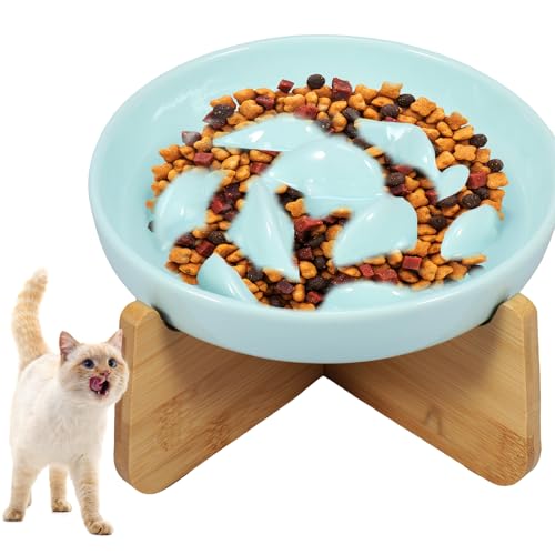 Erhöhter Katzenschüssel mit Ständer aus Holz aus Keramik, langsamer Futterbehälter, 6,4 × 1,14 Zoll, Anti-Erbrecher für (grün) von Toaboa