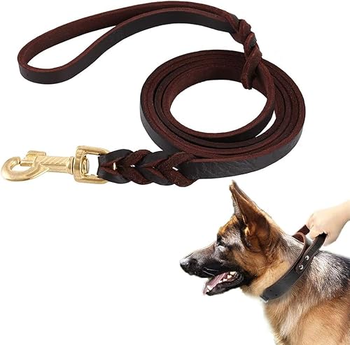 Hundeleine 3m Verstellbar Leder Leine Hund Große Hunde Hohe Zugfestigkeit, Robust Langlebig Rostschutz Dog Leash für Traktion, Training, Laufen, Gehen von Toaboa