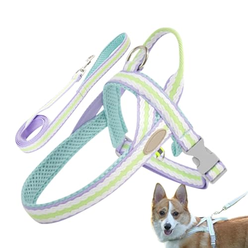 TocaFeank Hundegeschirr mit Gurt,Hundegeschirr und Gurt | Verstellbares Hundegeschirr-Set für Spaziergänge,Hundeauslaufgerät mit Traktions-D-Ring aus Zinklegierung für Picknick, täglichen Spaziergang, von TocaFeank
