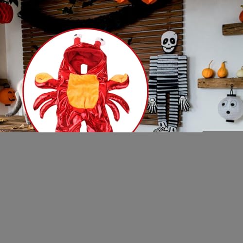 TocaFeank Hundekostüm,Halloween Hund Cosplay Kostüm - Haustierbekleidung Für Hunde Partys Süßes Oder Saures Spaziergang Outdoor Fotos Feiern TocaFeank Hundekostüm,Halloween Hund Cosplay Kostüm - Haustierbekleidung Für Hunde Partys Süßes Oder Saures Spaziergang Outdoor Fotos Feiern von TocaFeank