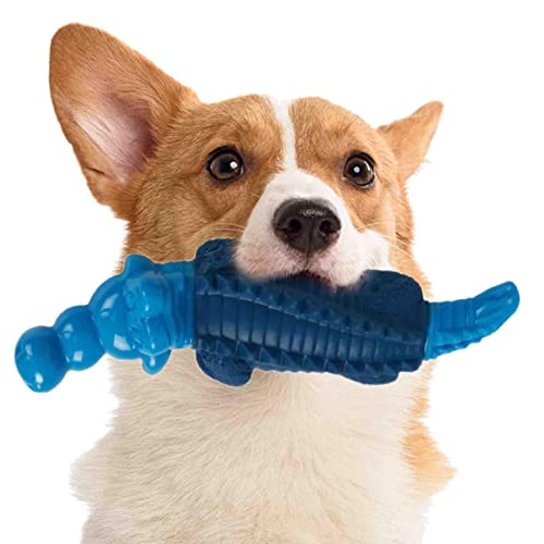 2 Pcs Hundekauspielzeug für Aggressive Kauer | Alligator Hundezahnreinigungs- und Zahnfleischmassagespielzeug - Hundespielzeug mit Rindfleischgeschmack zum Trainieren mittlerer und großer von Toddlers
