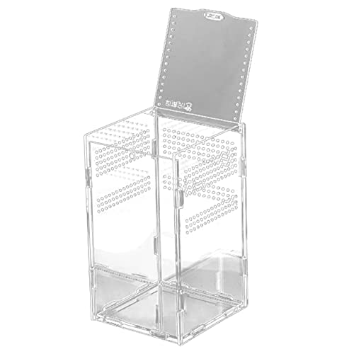 Toddmomy Magnetisches Kunststoff-reptilengehäuse Hochtransparent Terrarium Für Schlangen Taranteln Geckos Und Andere Reptilien von Toddmomy