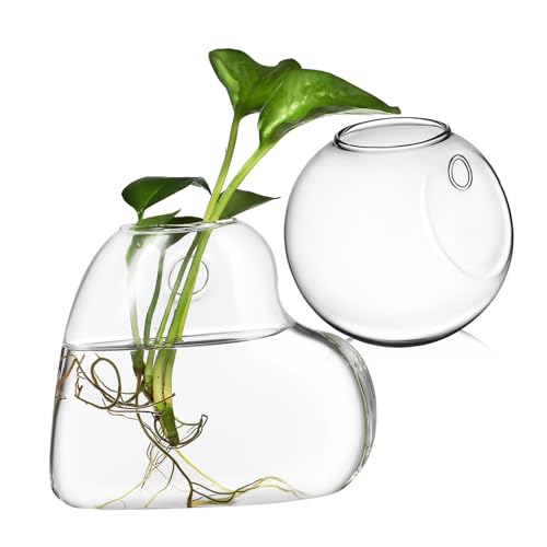 Toddmomy 2stücke Glas Pflanzenterrarium Für Anzuchtpflanzen Wand Hängen Hydrokultur Pflanzen Halter Transparente Glasvase Für Zimmerpflanzen Wandaufhängung Für Dekor von Toddmomy