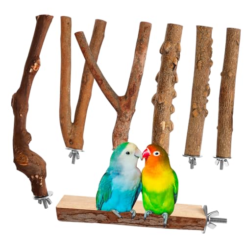 7Stücke Papageien Sitzstangen aus Natürlichem Holz Teiliges Vogelkäfigzubehör für Papageien Sittiche Kanarienvögel zu Installieren und Langlebig 7Stücke Papageien Sitzstangen aus Natürlichem Holz Teiliges Vogelkäfigzubehör für Papageien Sittiche Kanarienvögel zu Installieren und Langlebig von Toddmomy