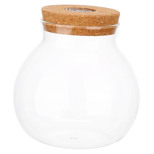 LED Glasflasche mit Deckel und LED Licht Ökologische Fischflasche für DIY Mikro Landschaften Transparente Dekorationsflasche für Aquarien und Kompakt LED Glasflasche mit Deckel und LED Licht Ökologische Fischflasche für DIY Mikro Landschaften Transparente Dekorationsflasche für Aquarien und Kompakt von Toddmomy