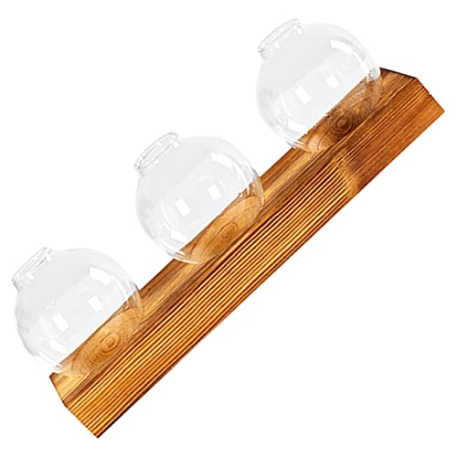 Toddmomy 1 Satz Grüner Blumentopf Pflanze Steht innen Dekoration Gartendekor Luftpflanzen Anlage Hydrokultur-Glasflasche Hydroponische Tischvase Vasendekor aus Holz hölzern von Toddmomy