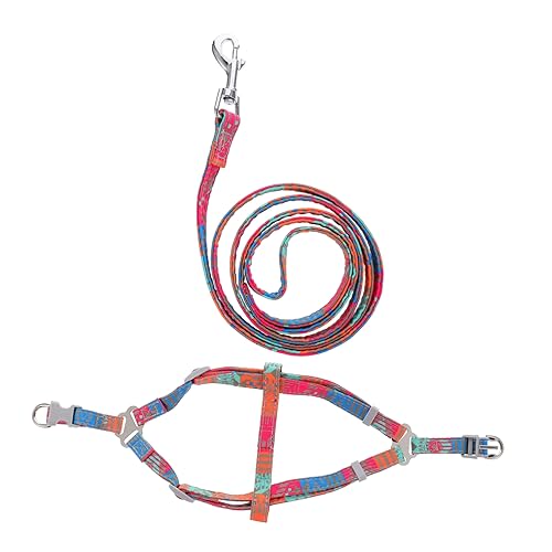 Toddmomy Hundetrainingsleine Für Haustiere Modisches Design Bequem Für Haustiere Reflektierend von Toddmomy