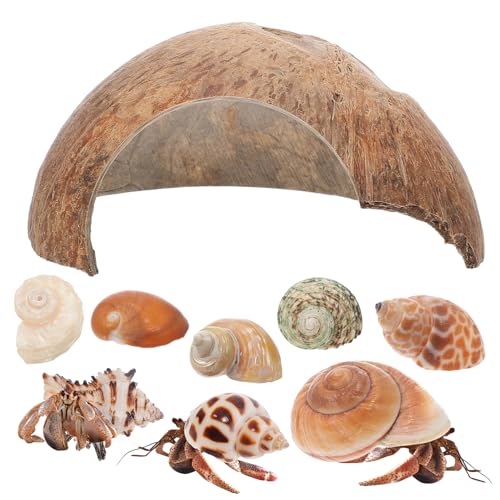 Toddmomy 1 Satz Haustier verstecken Höhle Muscheln von Einsiedlerkrebsen Hülse Terrarium zubehör Hermit Crab Muschellebensraum Reptilienverstecke natürliche Kokosnussschale von Toddmomy