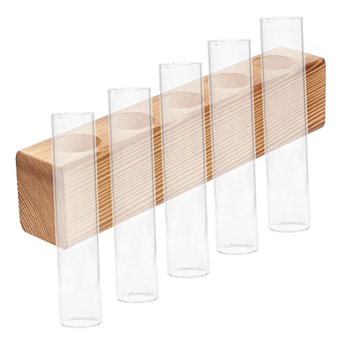 Toddmomy Pflanzenhalter Aus Glas Zur Anzuchtvase Für Terrarien Hydrokulturpflanzen Und Vasen-Set Toddmomy Pflanzenhalter Aus Glas Zur Anzuchtvase Für Terrarien Hydrokulturpflanzen Und Vasen-Set von Toddmomy