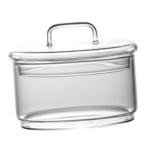 Toddmomy 1 Satz Micro Landschafts Glasflasche Hydroponische Vase für Deko für Pflanzen und Moos Langlebiges und Design für Innenräume von Toddmomy