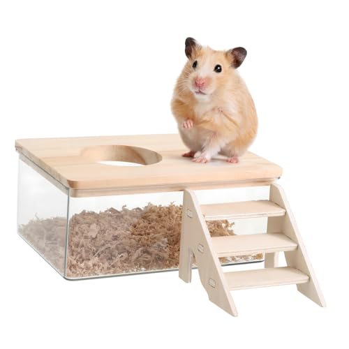 Toddmomy 1satz Hamsterbadewanne Transparent Mit Deckel Leiter Kleintier Sandbad Hamster Sandkasten Für Chinchillas Und Gerbils Vielseitig Als Versteck Und Grabebox Einsetzbar Toddmomy 1satz Hamsterbadewanne Transparent Mit Deckel Leiter Kleintier Sandbad Hamster Sandkasten Für Chinchillas Und Gerbils Vielseitig Als Versteck Und Grabebox Einsetzbar von Toddmomy