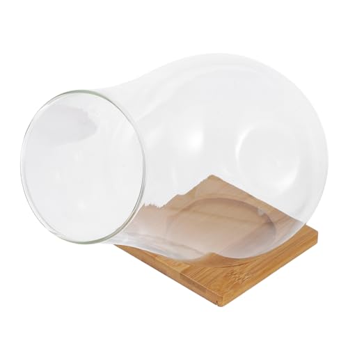 Toddmomy Elegante Glas Pflanzer Moos Flasche Für Terrarium Container Tablett Für Decor von Toddmomy