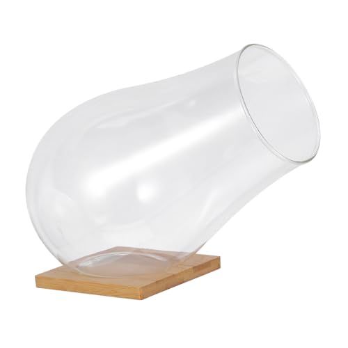 Toddmomy 1 Set Pflanzenterrarium Dekorative Glasschale Pflanzenvase Innenglasschale Dekoratives Glasterrarium Glaspflanzgefäß Glasdekoschale Terrarienbehälter Transparent Bambus Toddmomy 1 Set Pflanzenterrarium Dekorative Glasschale Pflanzenvase Innenglasschale Dekoratives Glasterrarium Glaspflanzgefäß Glasdekoschale Terrarienbehälter Transparent Bambus von Toddmomy