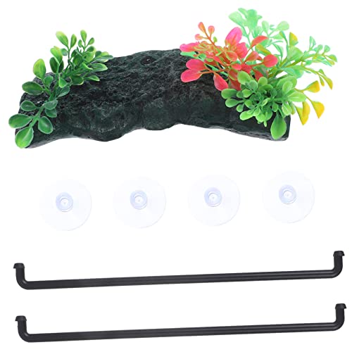 Toddmomy 1 Set Schildkrötenterrasse Reptilienbecken Haustierschildkrötenbedarf Schildkrötenbeckenzubehör Schildkröten Sonnenbecken Schildkrötenhabitat Sonnenplattform Für Toddmomy 1 Set Schildkrötenterrasse Reptilienbecken Haustierschildkrötenbedarf Schildkrötenbeckenzubehör Schildkröten Sonnenbecken Schildkrötenhabitat Sonnenplattform Für von Toddmomy