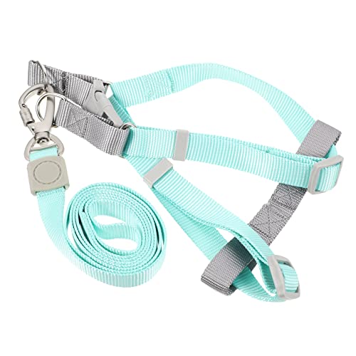 Toddmomy 1satz Hunde Geschirr Und Leine Set Verstellbares Leichtes Hundeharnes Für Kleine Hunde Metallringe Robust Für Im Freien Grüne Variante von Toddmomy
