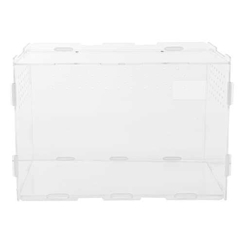 Toddmomy 1 Stück Acryl Reptilienbox - Klettertier-futterbehälter Für Spinnen Eidechsen Schlangen Toddmomy 1 Stück Acryl Reptilienbox - Klettertier-futterbehälter Für Spinnen Eidechsen Schlangen von Toddmomy