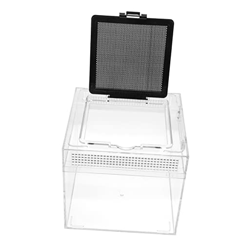 Toddmomy 1 Stück Klein Reptilien Haltungsbox Transparentes Terrarium mit Belüftungslöchern für Geckos Spinnen und Kleine Haustiere für Transport und Zucht und Praktisch Toddmomy 1 Stück Klein Reptilien Haltungsbox Transparentes Terrarium mit Belüftungslöchern für Geckos Spinnen und Kleine Haustiere für Transport und Zucht und Praktisch von Toddmomy