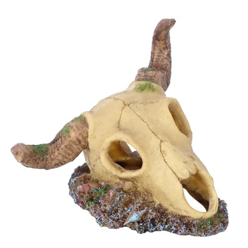Toddmomy 1 Stück Simulation Schafschädel Aquarium Landschaftsdekorationen Aquarium Schädel Höhle Tank Kleine Aquarium Dekoration Aquarium Ornament Schafschädel Landschaft Schafschädel Toddmomy 1 Stück Simulation Schafschädel Aquarium Landschaftsdekorationen Aquarium Schädel Höhle Tank Kleine Aquarium Dekoration Aquarium Ornament Schafschädel Landschaft Schafschädel von Toddmomy