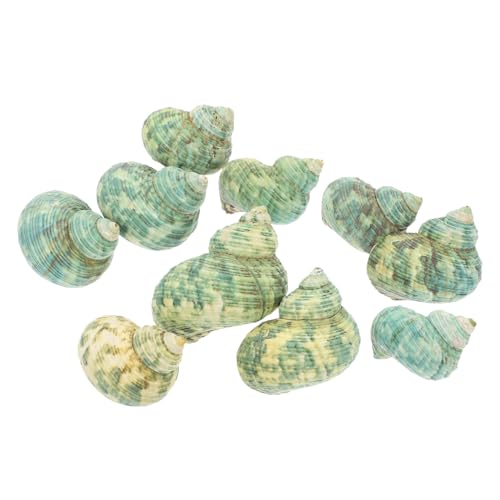 Toddmomy 10 Stück Teiliges Aquarium Deko Natürliche Kaurimuscheln Fisch Tank Ornament Sicher für Tropische Fische Aquarium Dekorationen Tischdeko Toddmomy 10 Stück Teiliges Aquarium Deko Natürliche Kaurimuscheln Fisch Tank Ornament Sicher für Tropische Fische Aquarium Dekorationen Tischdeko von Toddmomy