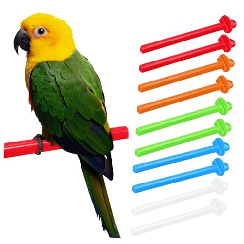 Toddmomy 10stücke Vogelkäfig Sitzstangen Für Sittiche Papageien Und Andere Vögel Mit Kratzstangen Für Gesunde Krallenpflege Installieren Und Bunten Farben Toddmomy 10stücke Vogelkäfig Sitzstangen Für Sittiche Papageien Und Andere Vögel Mit Kratzstangen Für Gesunde Krallenpflege Installieren Und Bunten Farben von Toddmomy